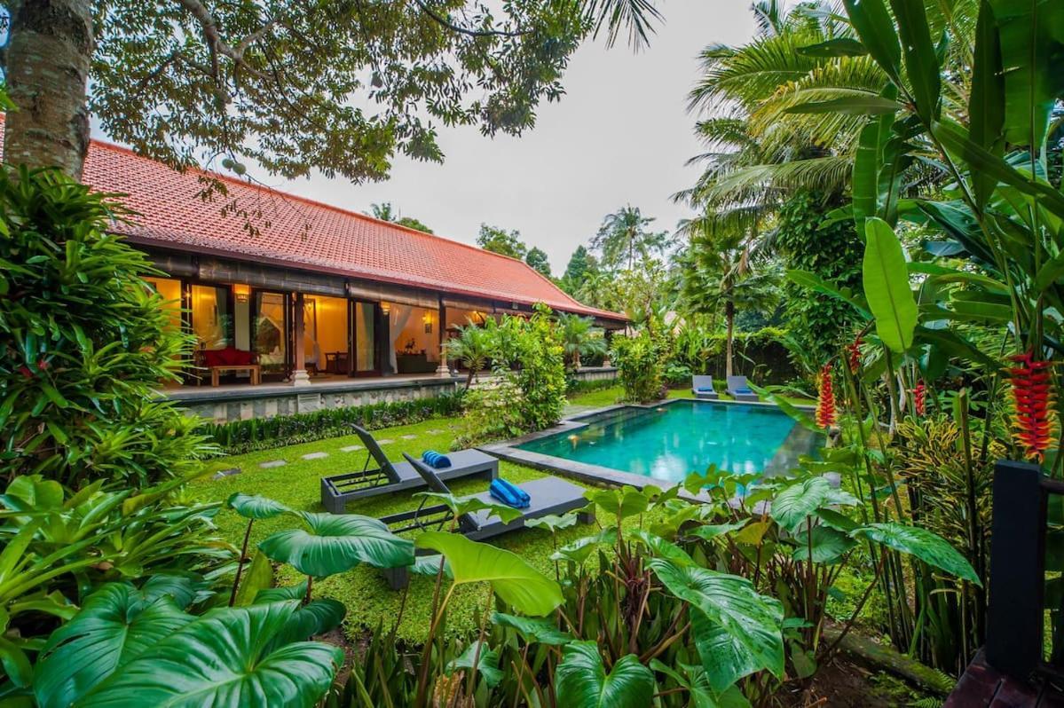 Luxury 3Br Infinity Jungle View Aashaya Villa Ubud Exterior photo