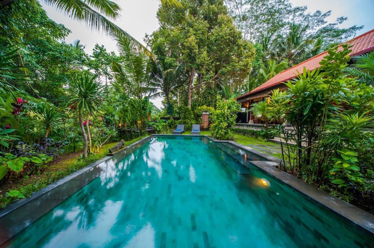 Luxury 3Br Infinity Jungle View Aashaya Villa Ubud Exterior photo